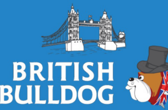 british bulldog 2023 ответы и задания